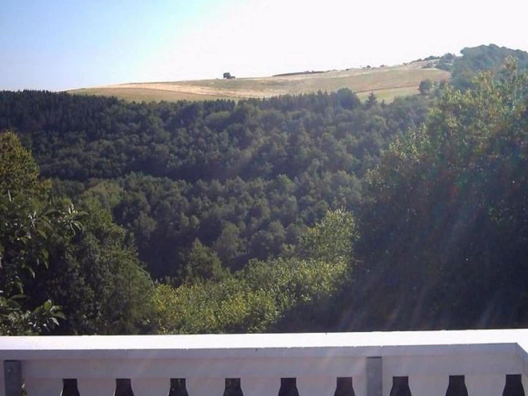 Charming Apartment In Morbach Germany With Terrace Thalfang Esterno foto